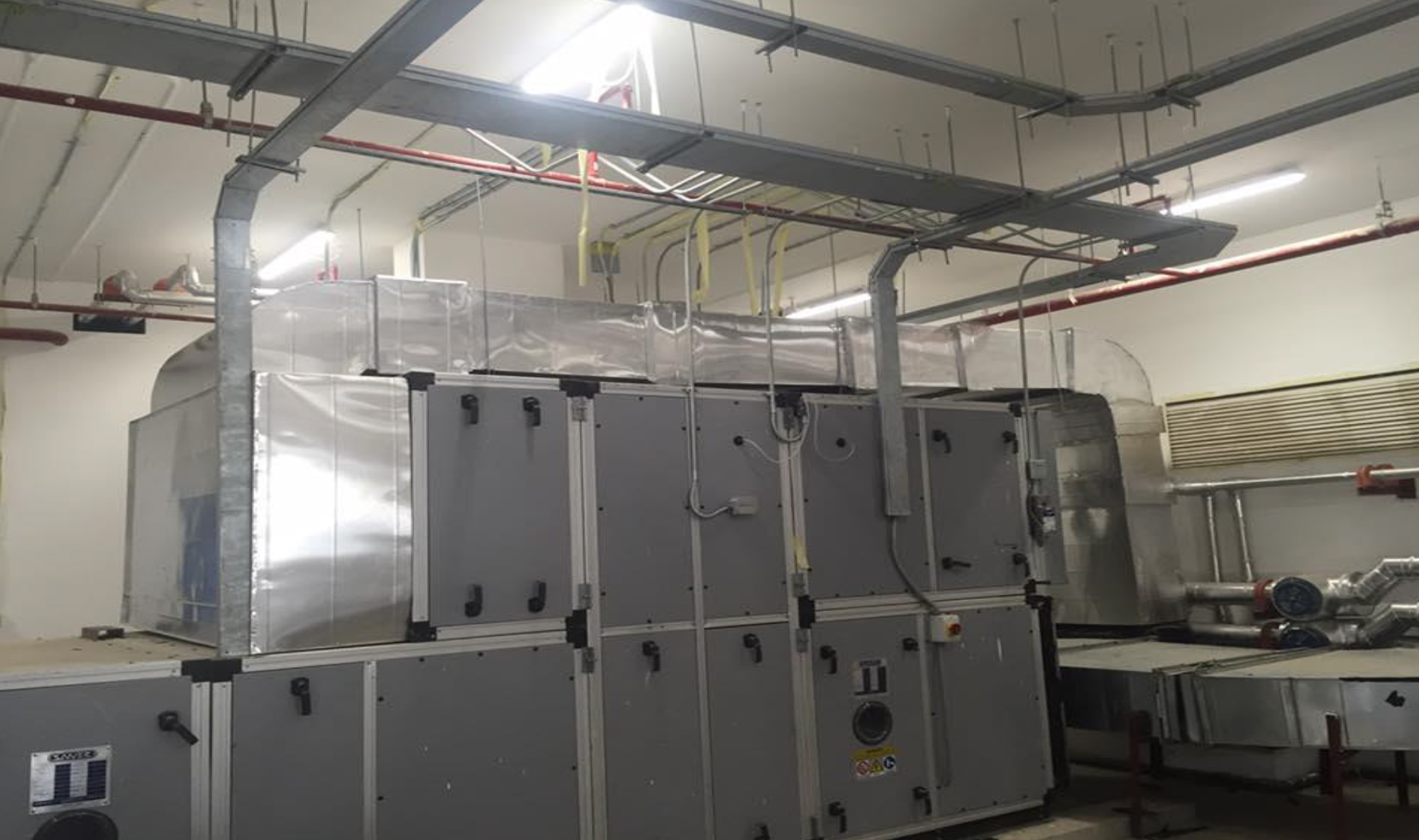 Astra-Zeneca Egypt for pharmaceutical