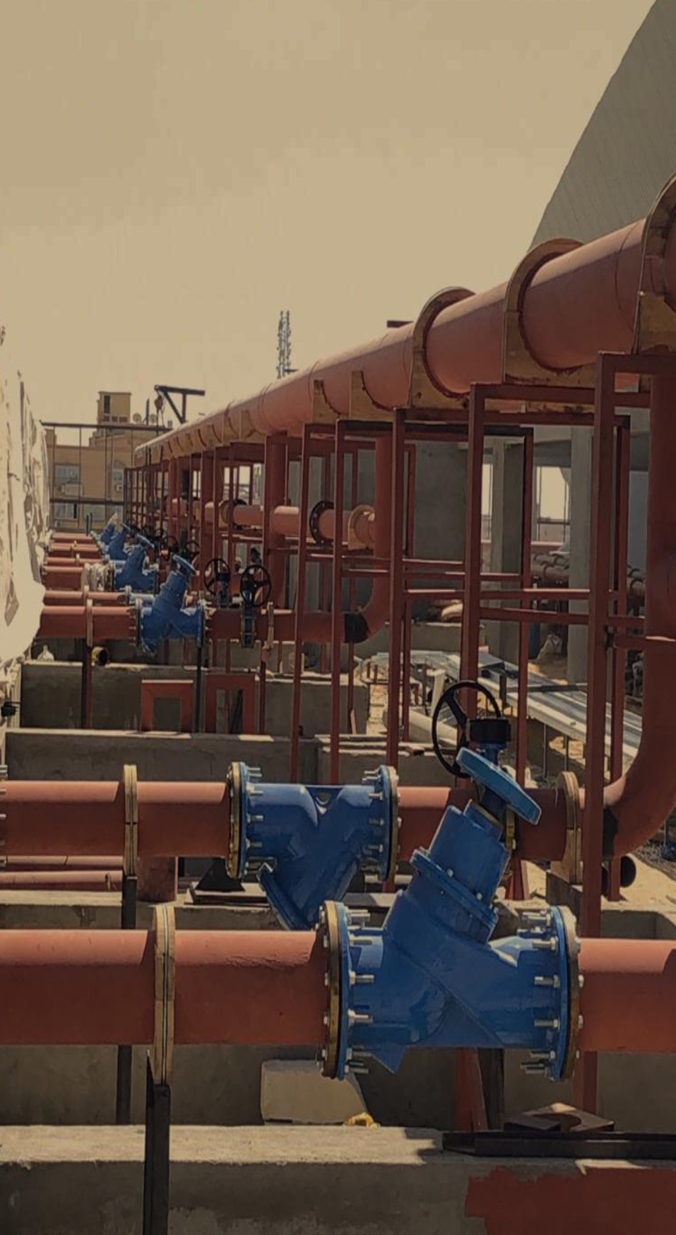 The hall covered in October