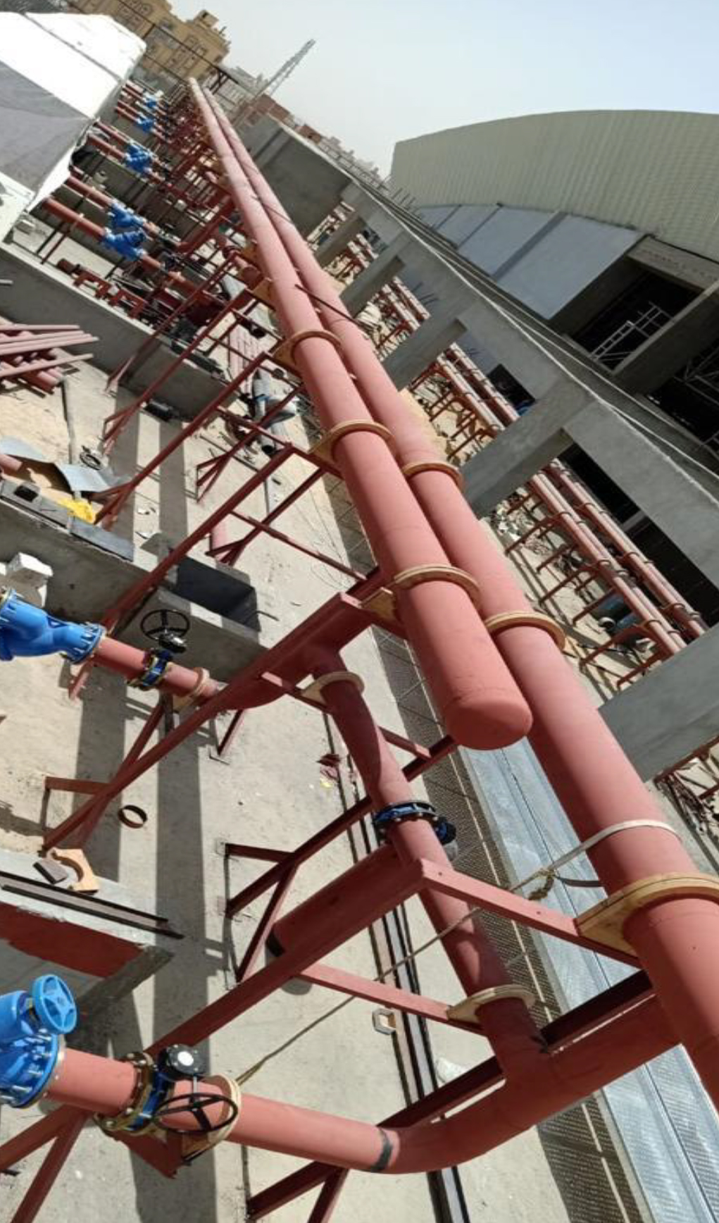 The hall covered in October