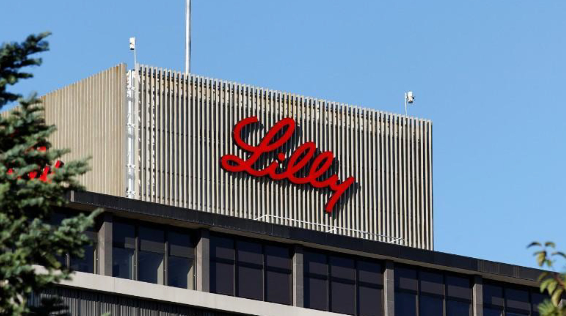 Lilly Egypt For Pharmaceutical